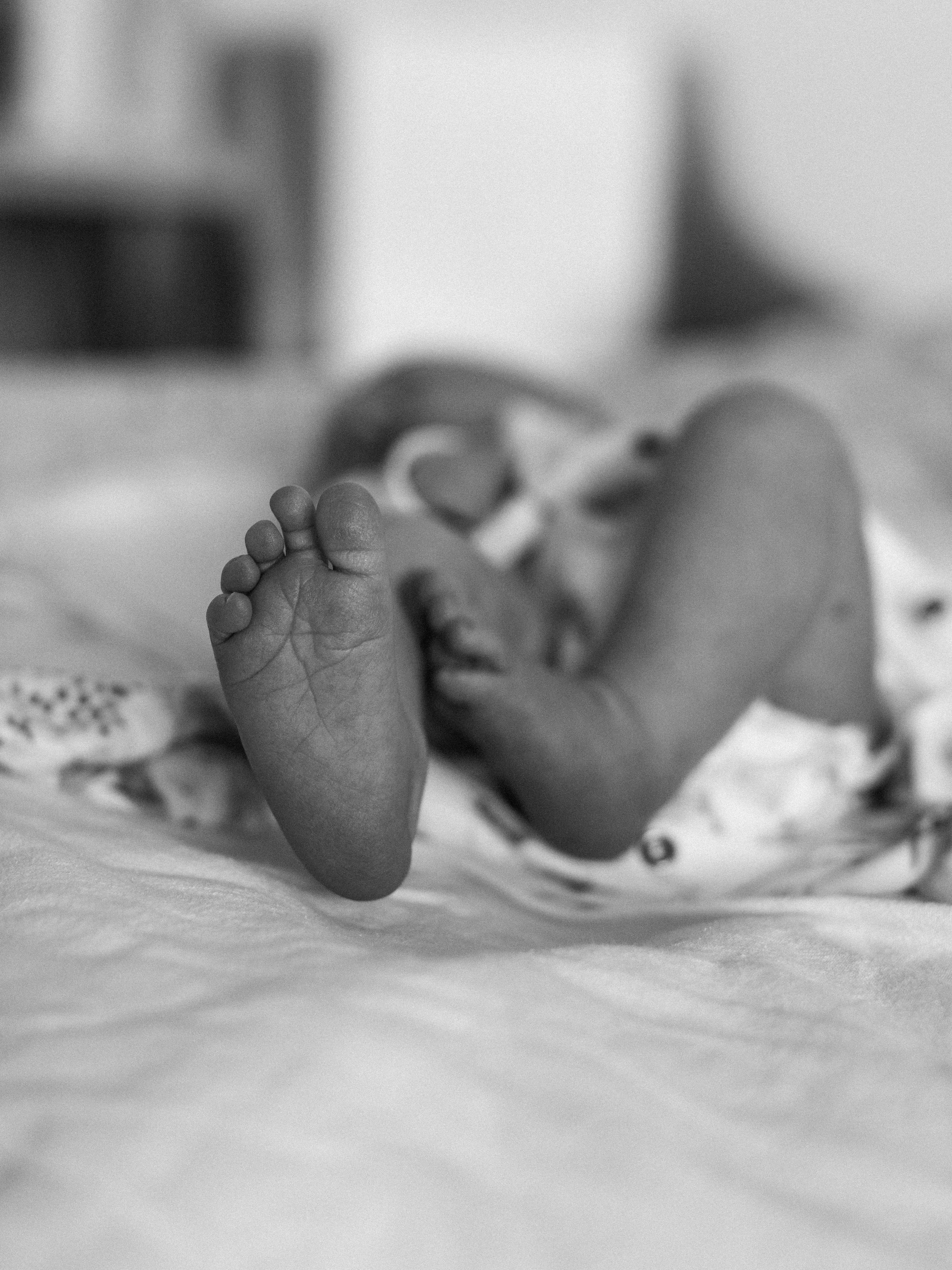 Rodinné focení v lese